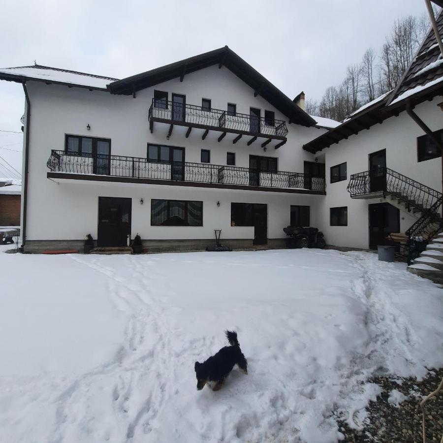 Casa Dana Olteanu Otel Moeciu De Sus Dış mekan fotoğraf