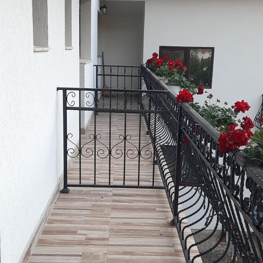 Casa Dana Olteanu Otel Moeciu De Sus Dış mekan fotoğraf