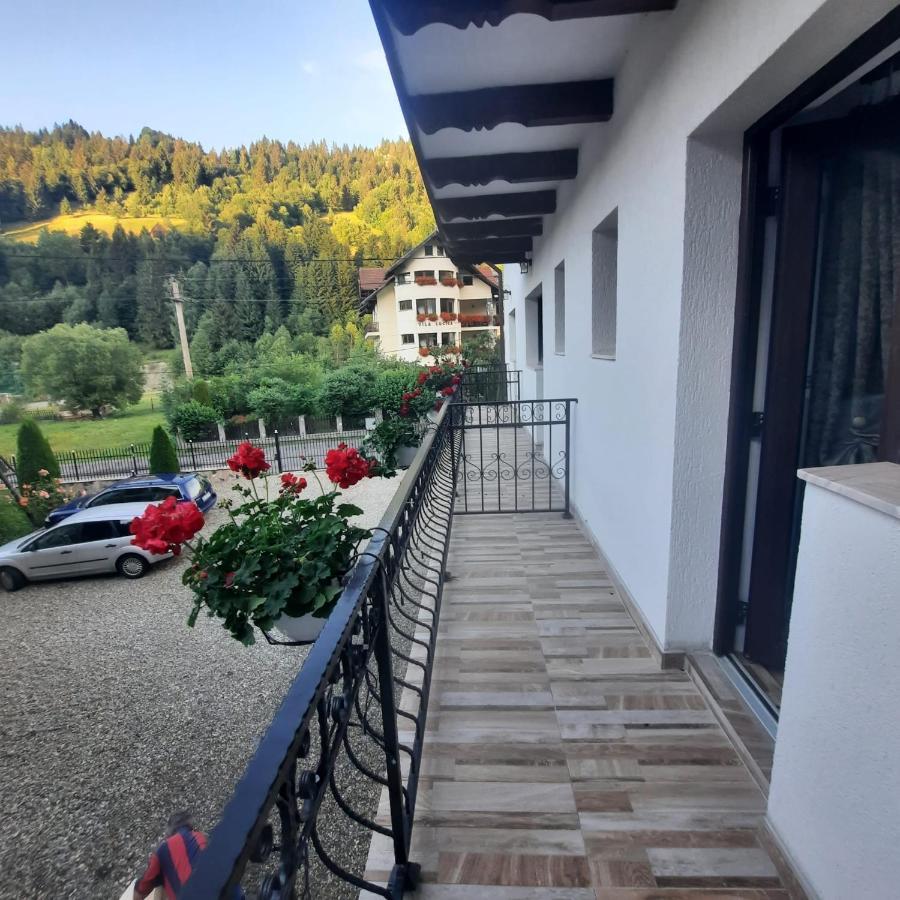 Casa Dana Olteanu Otel Moeciu De Sus Dış mekan fotoğraf