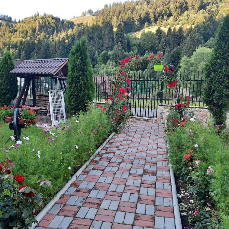 Casa Dana Olteanu Otel Moeciu De Sus Dış mekan fotoğraf