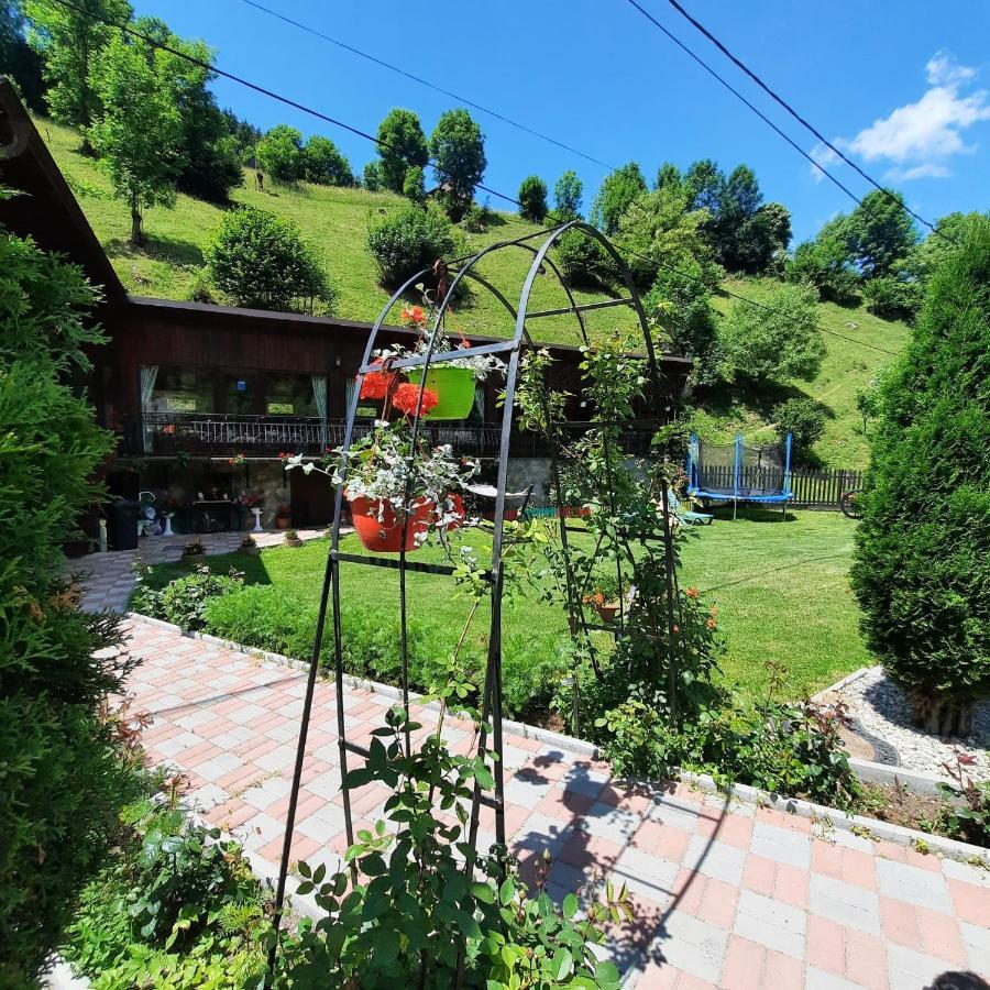 Casa Dana Olteanu Otel Moeciu De Sus Dış mekan fotoğraf
